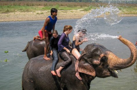 chitwanelephantride-shivadiptravels