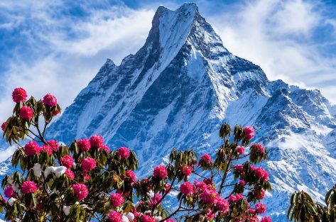 mardihimaltrek-shivadiptravels